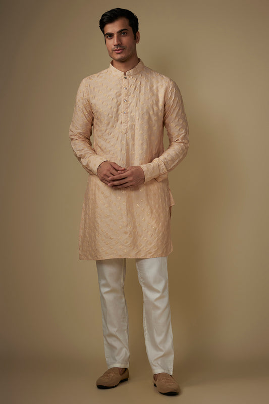 Light Pink Embroidered Kurta Set